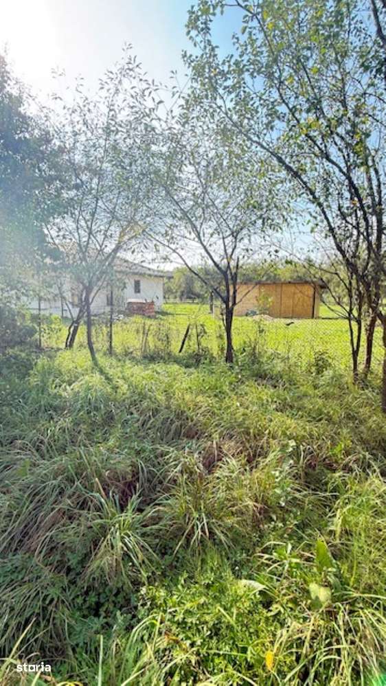 OCOLIS casa batraneasca  cu sura si 14 ari teren! - Imagine principală: 5/6