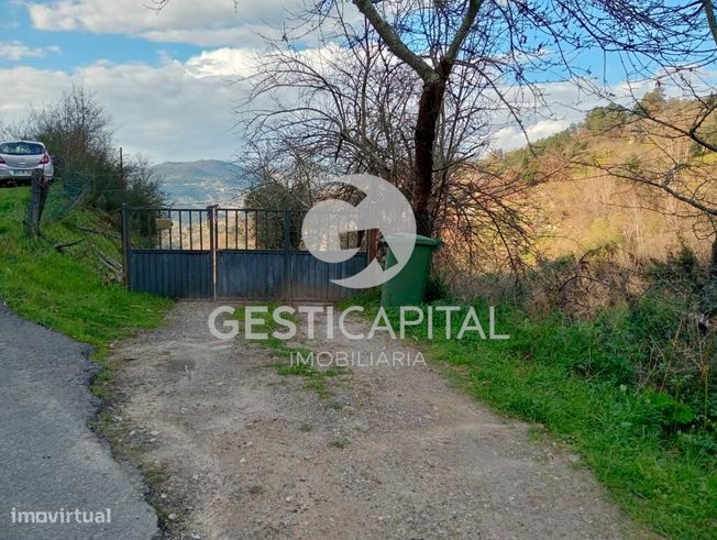 Oportunidade Única: Quinta para Habitação, Turismo ou Agricultura em M-2