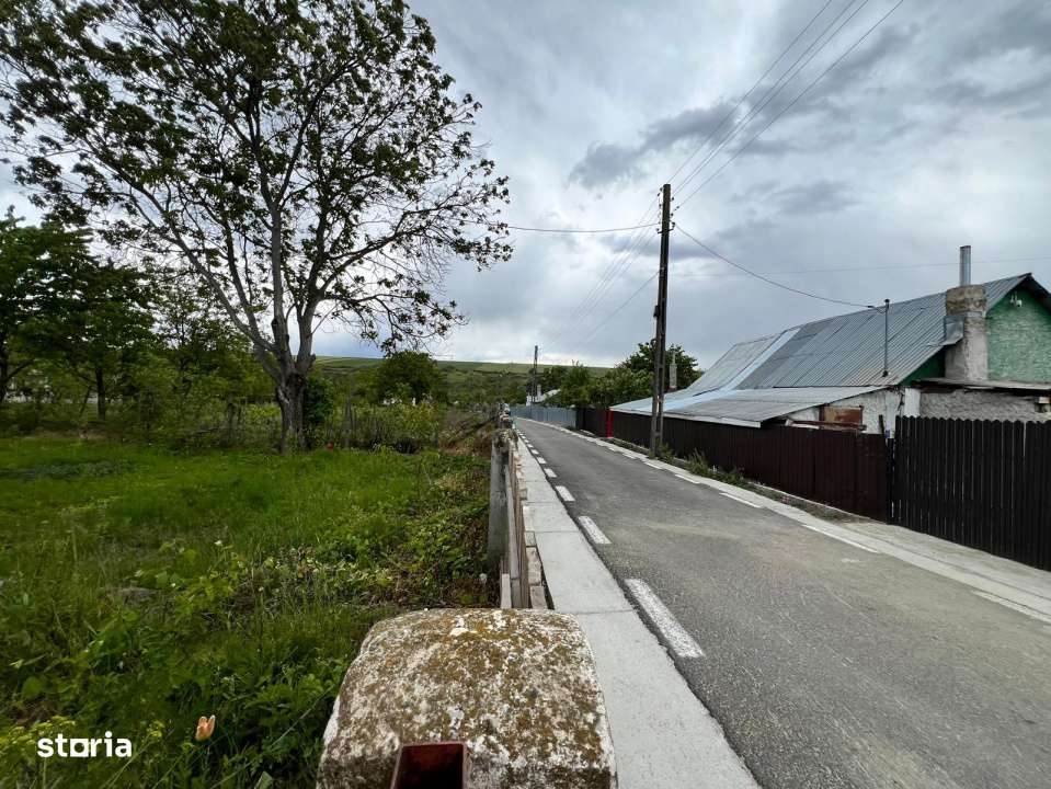 Casa + teren 4430 mp, vie si pomi fructiferi, 22 km de Tecuci-4