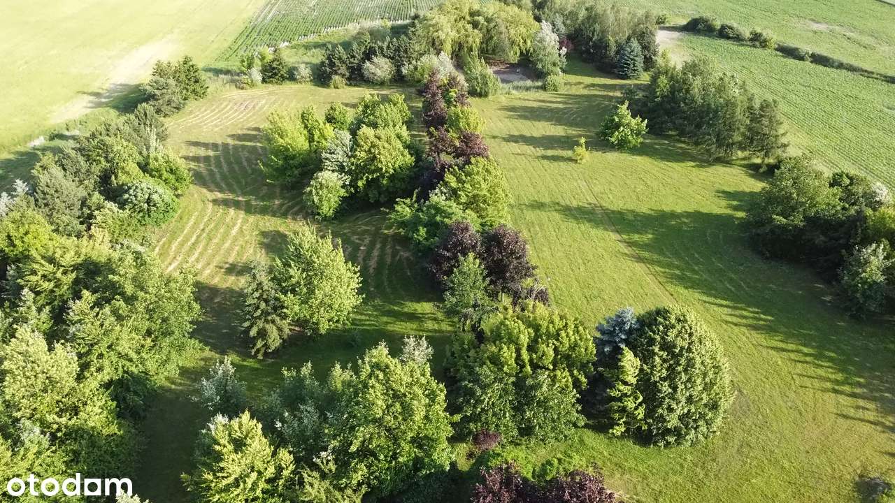 Działka budowlana 15000m2 miasto Gniezno - Pełny obrazek: 5/5