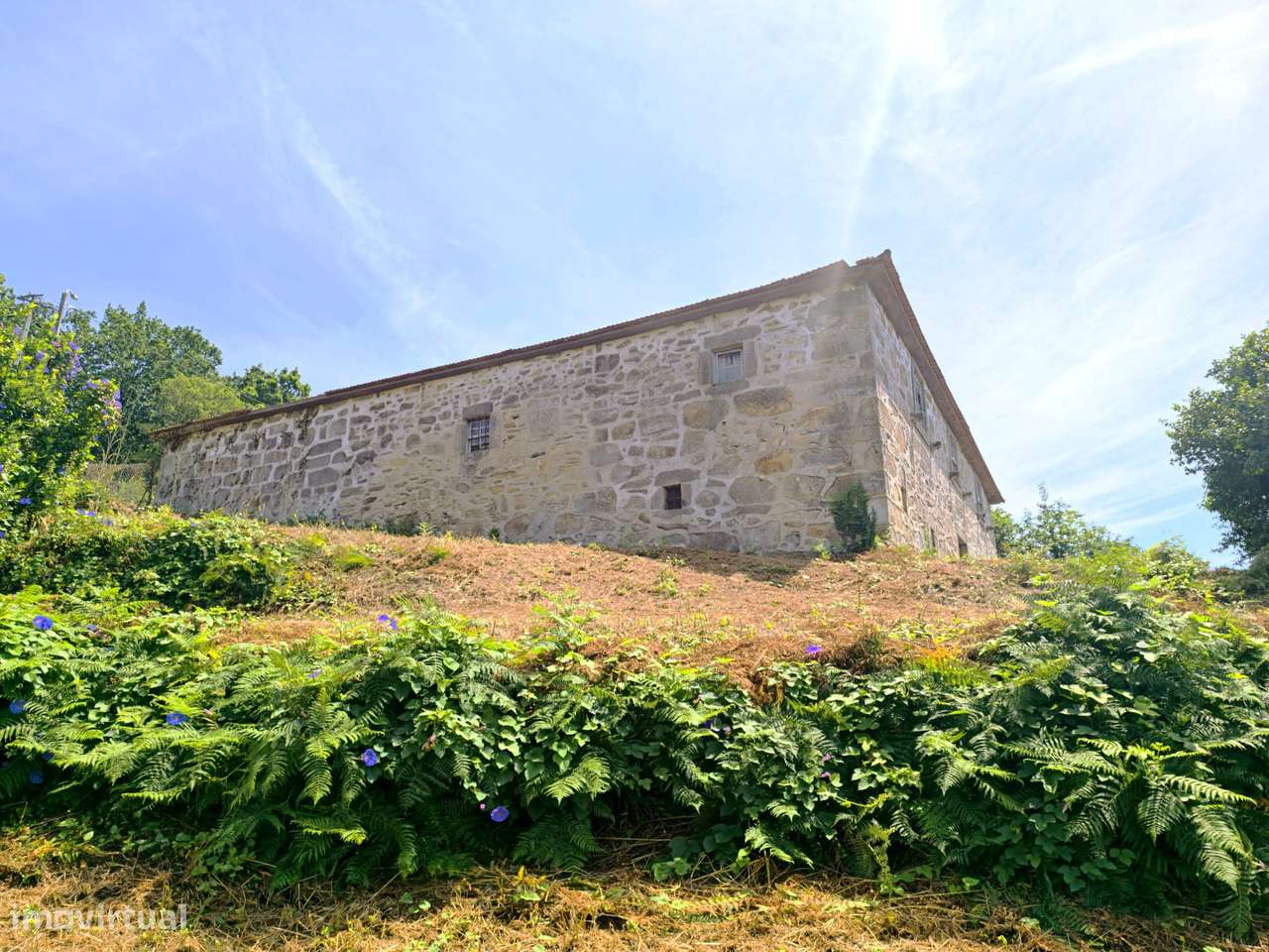 Quinta com 19000 m2 nas margens do Douro-6