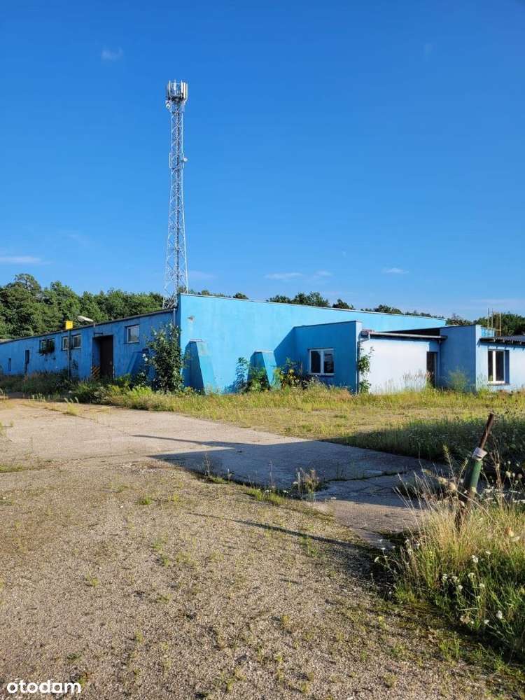 Sprzedam nieruchomość-działkę Gromadka-Bolesławiec - Pełny obrazek: 4/16