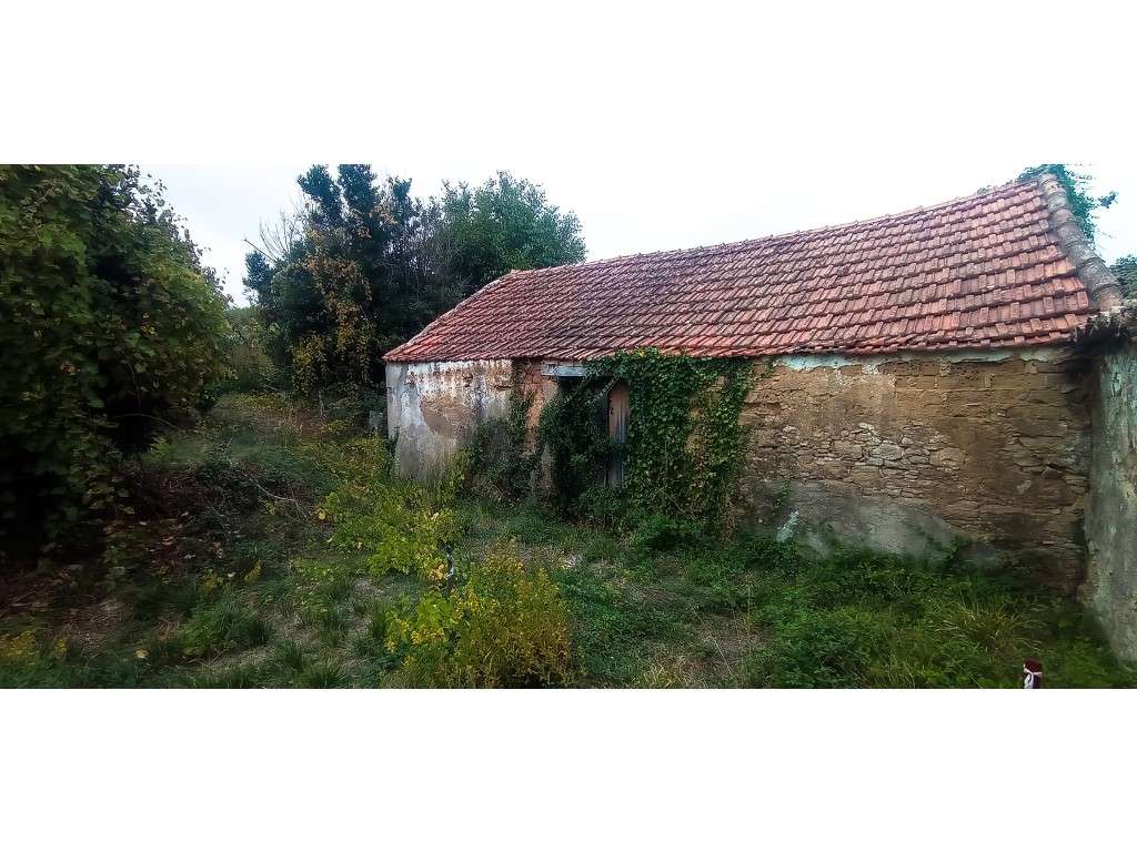 Adega / Armazém com projecto de arquitetura para conversão em morad...-11