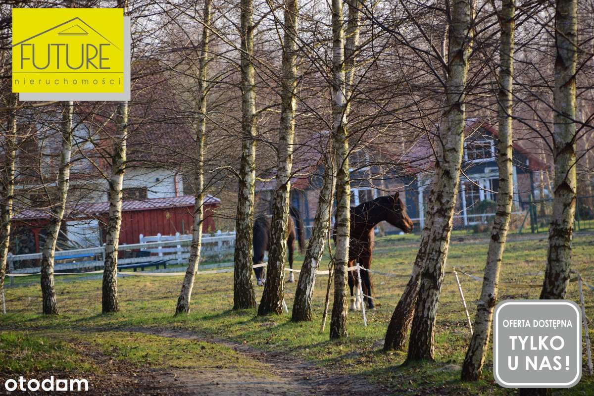 Działka pod agroturystykę 4km do Mikoszewa-8