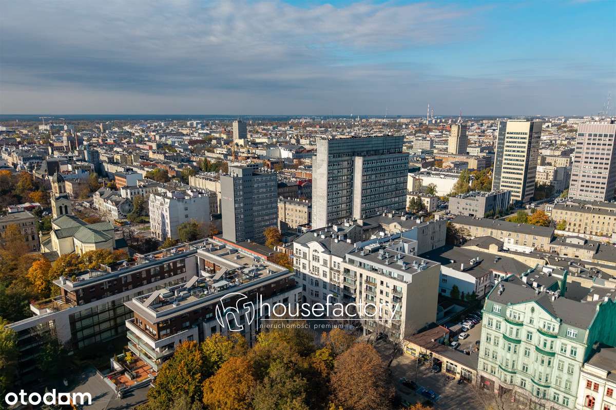 132 m2 w samym centrum idealnie pod inwestycję - Pełny obrazek: 2/10