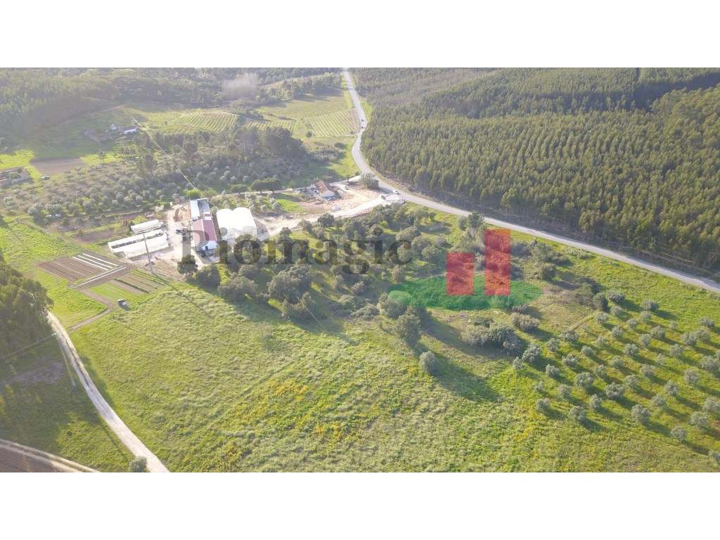 Terreno Rústico em Rio Maior - Grande imagem: 2/14