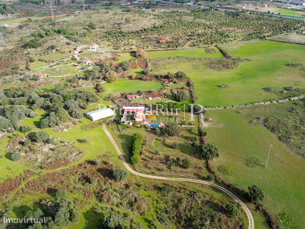 Herdade de 103 ha confinante com o Rio Ocreza em Castelo Branco - Grande imagem: 5/55