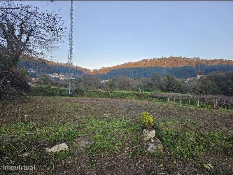 Terrenos Rústicos - Grande imagem: 4/7