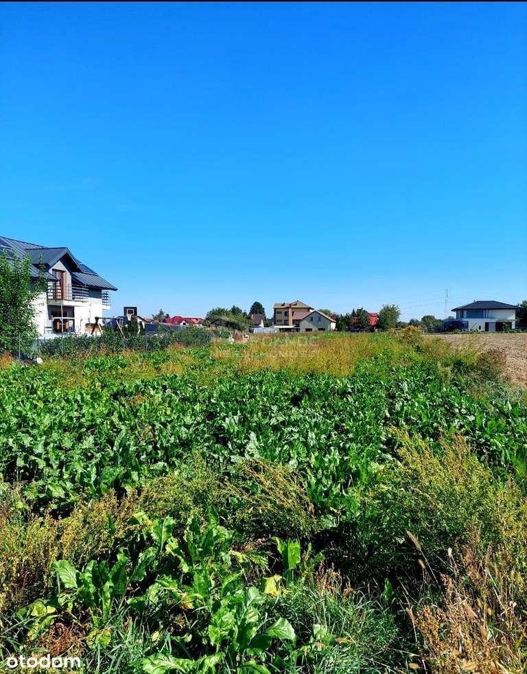 Działka w Kalinówce z wydanym WZ 12a w Kalinówce - Pełny obrazek: 4/7