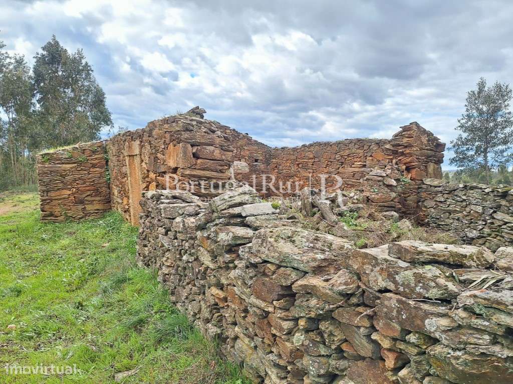 Propriedade com 3,5 ha e construções para recuperar - Grande imagem: 3/27