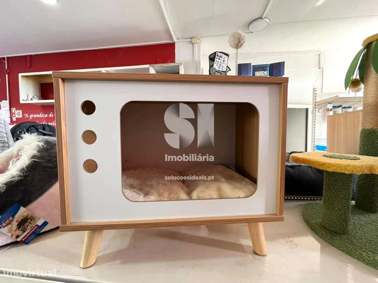 Loja em Vila real - Grande imagem: 5/23