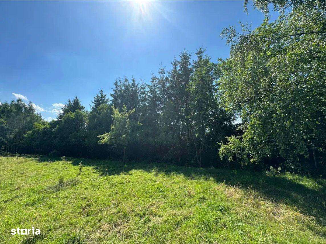 Teren intravilan de 5.755 mp în Doboeș, Sighetu Marmației-6