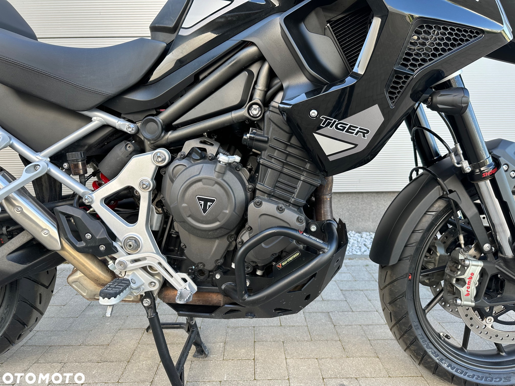 Triumph Tiger - 31