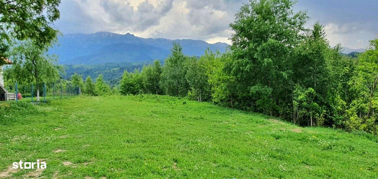 Teren casa de vacanta , Pestera , Brasov-0