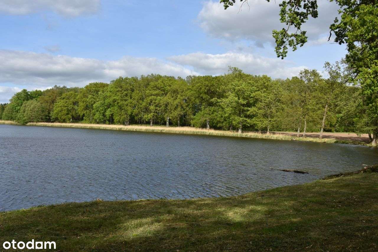 Działka inwestycyjna pod agroturystykę - Pełny obrazek: 4/20