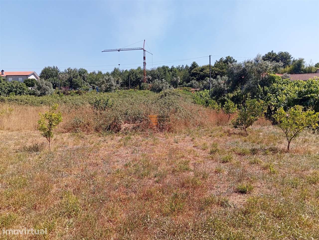 Terreno 3.000m2 Duas igrejas-13