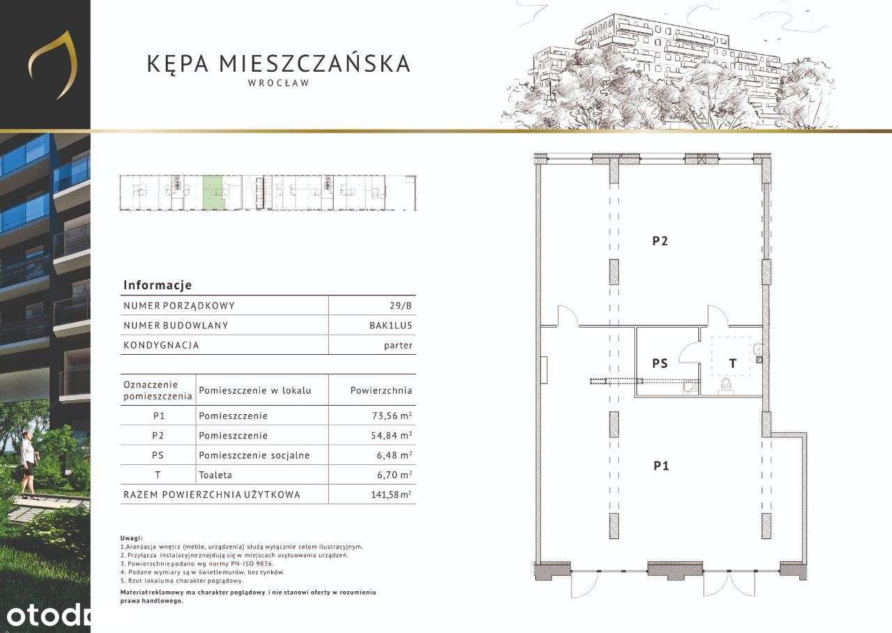 Lokal usługowy w sercu Wrocławia - AK1.LU05 - Pełny obrazek: 4/9