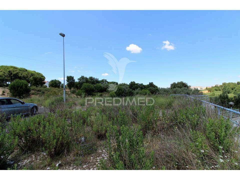 Lote de Prédio em Santarém - Grande imagem: 5/23