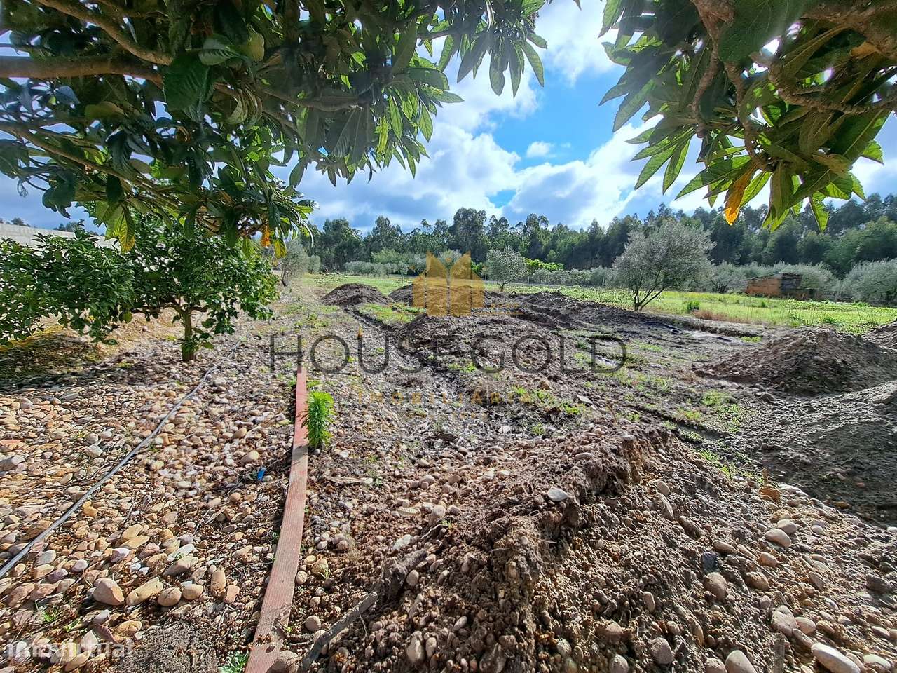 Moradia T3 em construção Marinhais (MR-287)-11
