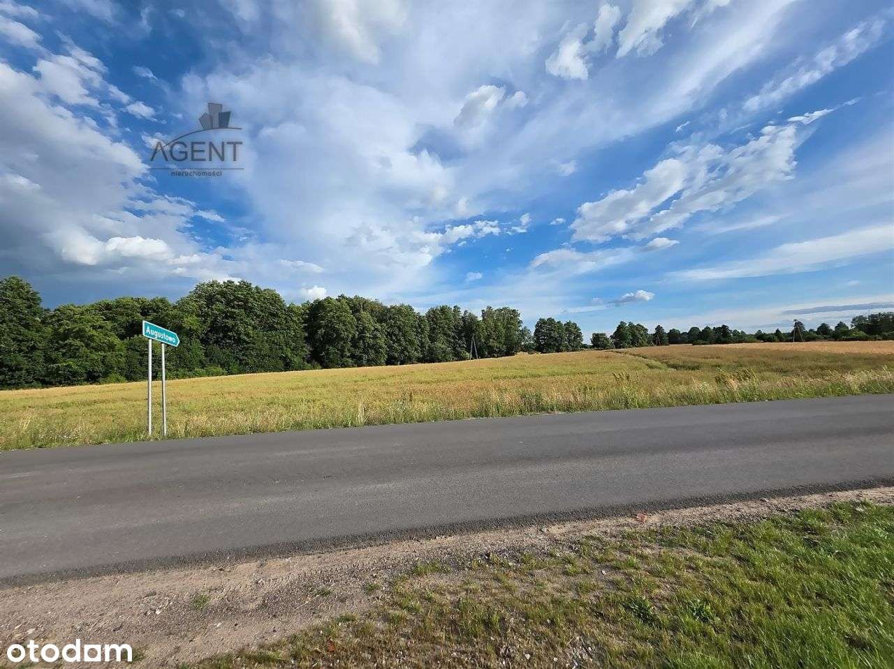 Działki/Nekla Jedna? lub komplet? - Pełny obrazek: 5/6