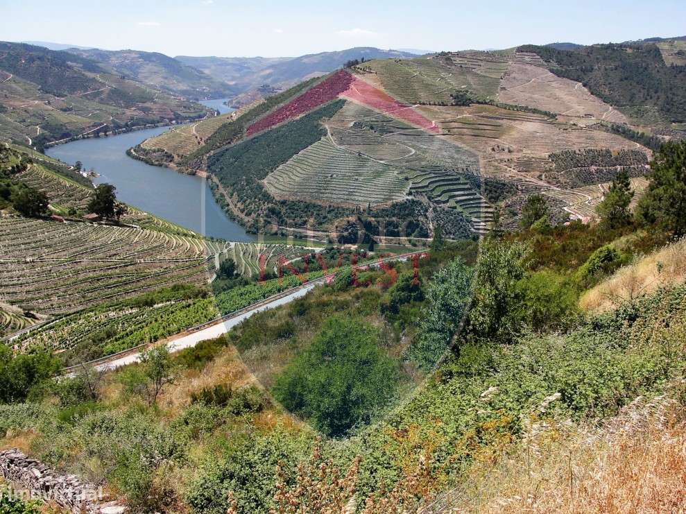 Quintinha  Venda em Valença do Douro,Tabuaço - Grande imagem: 1/11