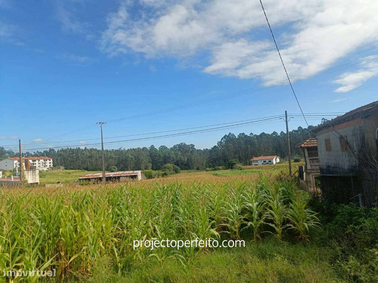 Moradia para Restaurar T2 Venda em Oliveira de Azeméis, Santiago de Ri - Grande imagem: 5/9