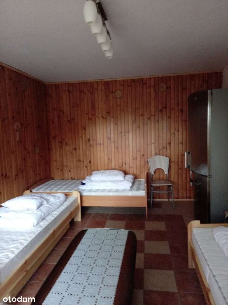 Luboń - pokoje do wynajęcia - Pełny obrazek: 5/17