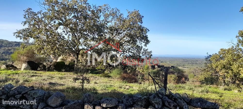 Quinta T4 Venda em Santa Maria de Marvão,Marvão