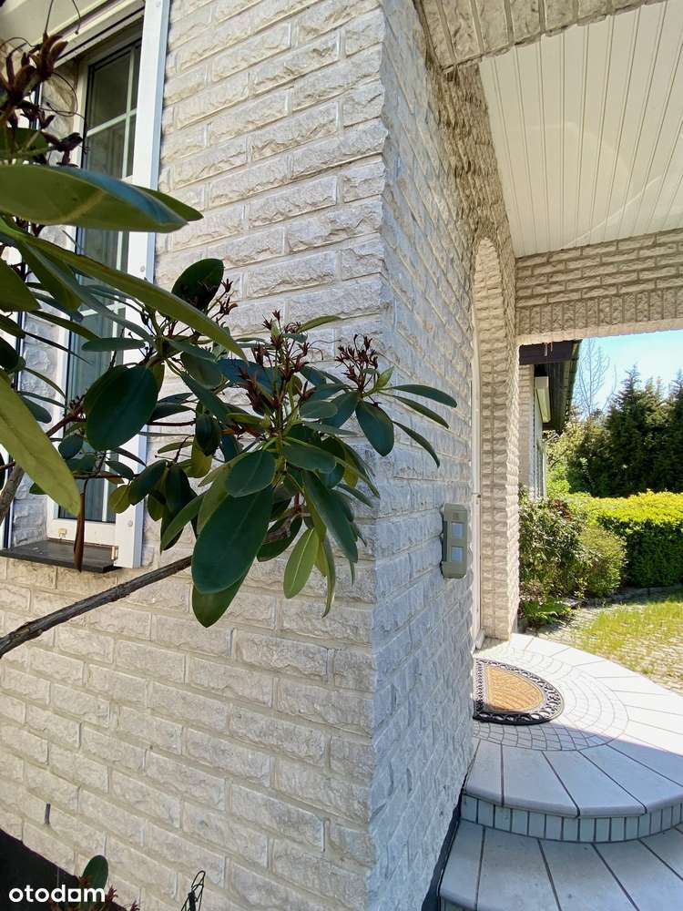 Rezydencja_basen_korty_ogród-5