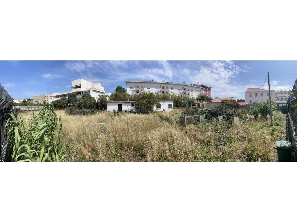 Terreno rústico com 2000m2 na Ajuda - Grande imagem: 5/7