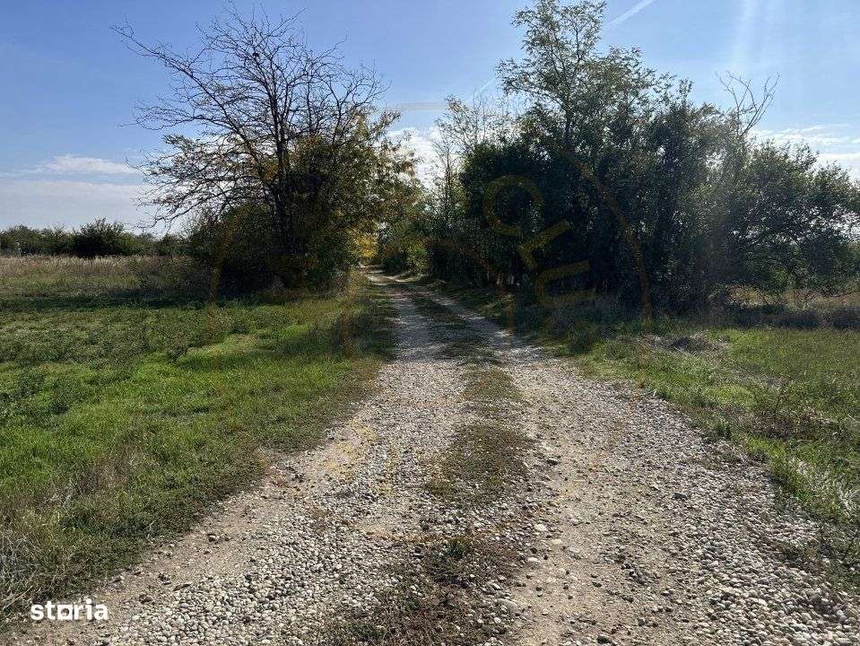 Teren Intravilan com. Ratesti-2