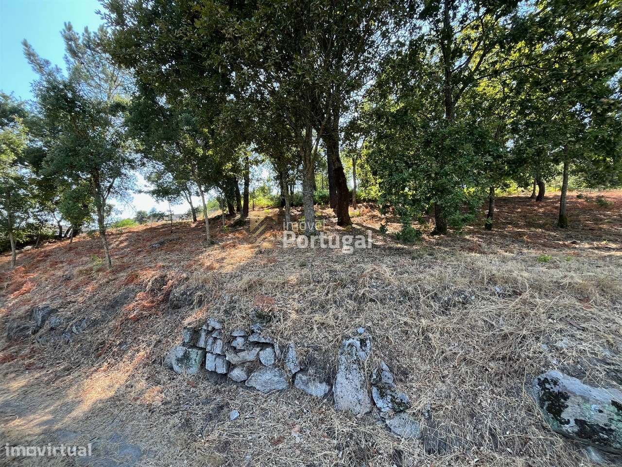 Excelente Preço - Terreno com 3.554m² e Potencial de Construção-6