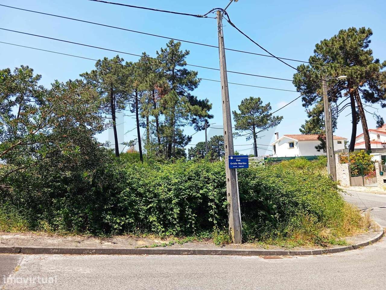 Terreno para Construção de Moradia – Oportunidade Única na Verdizela - Grande imagem: 5/19