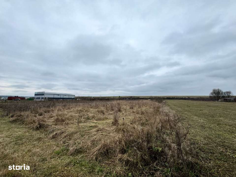 Teren 28 ari, drum principal - Imagine principală: 5/5