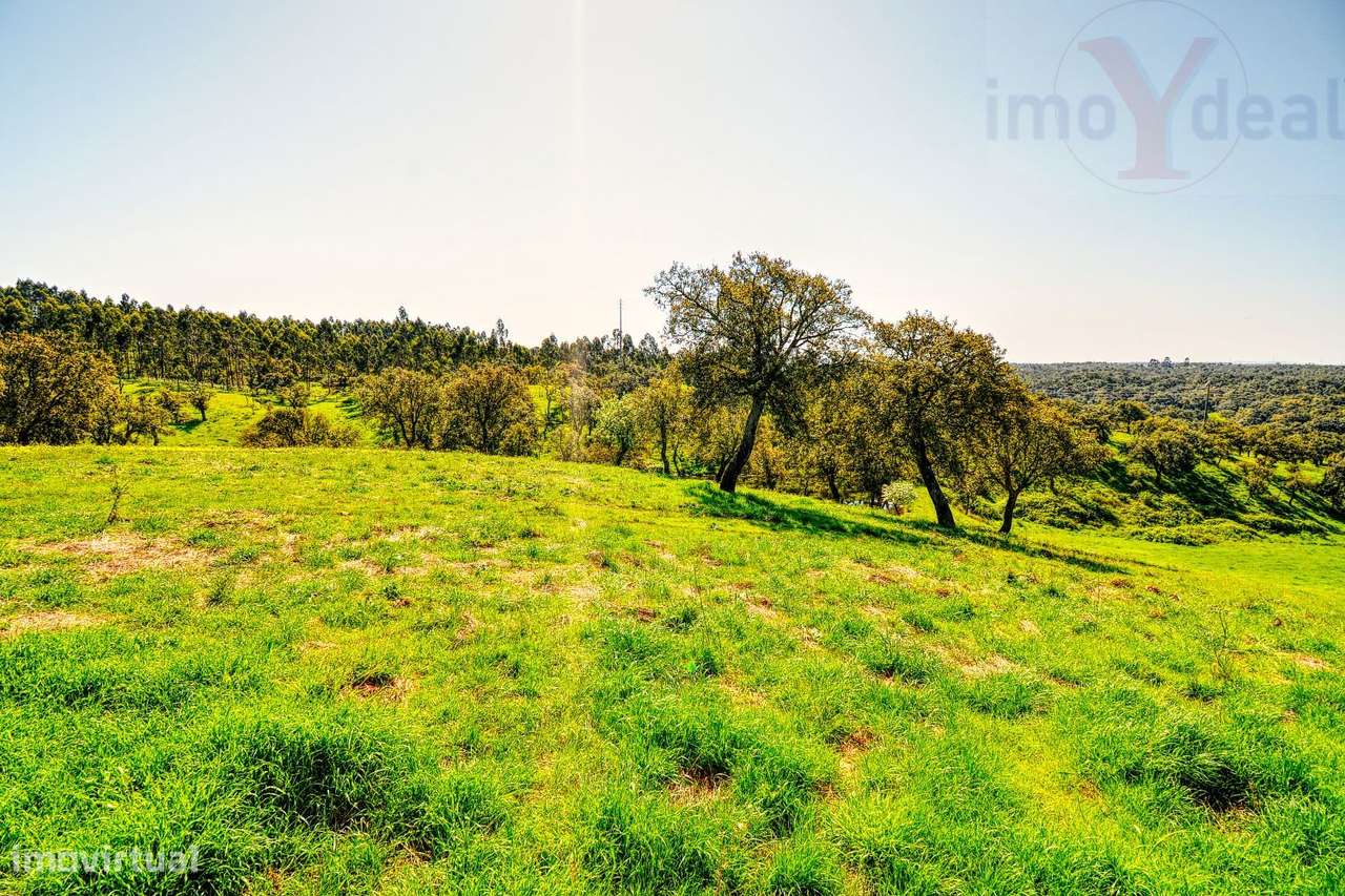 TERRENO EM S.BARTOLOMEU DA SERRA-35