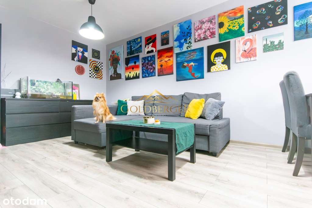 Dwa pokoje po kapitalnym remoncie!- Buk-3