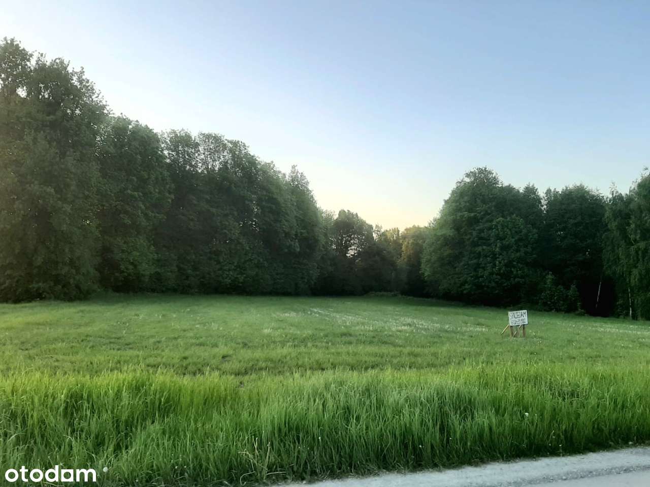 Działka budowlana 12.5 ara z pięknym widokiem i potencjałem - Pełny obrazek: 4/20