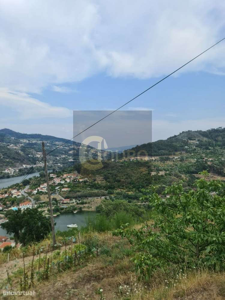 Quinta - Grande imagem: 4/19