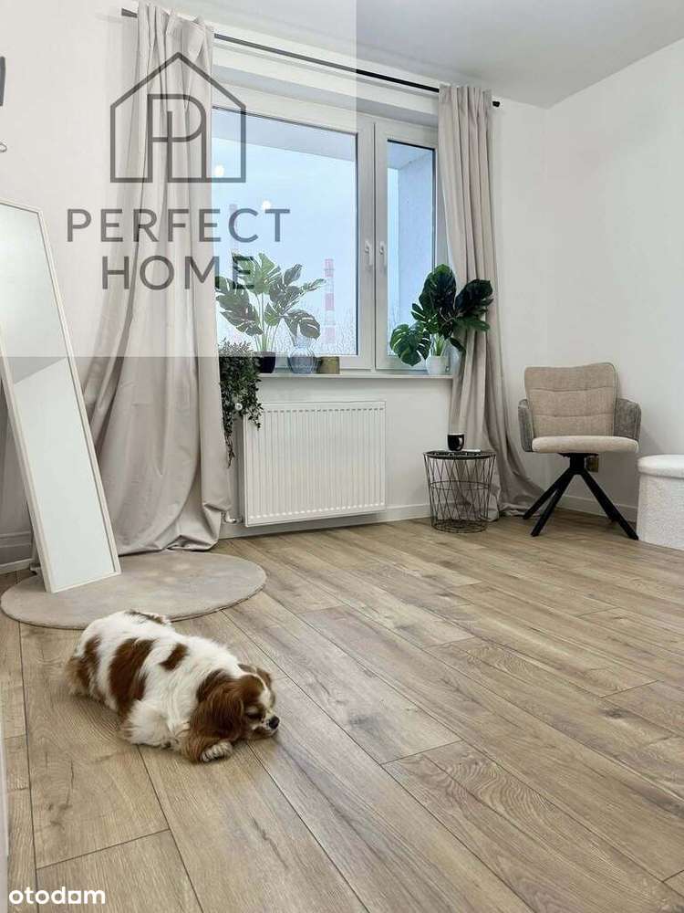 Piękne mieszkanie przy ul. Pięknej !!!-3