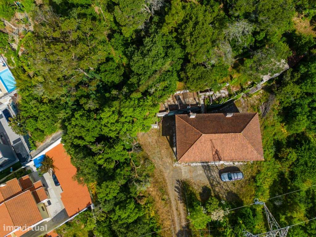 Quinta de 1 ha com moradia de 260 m2-39