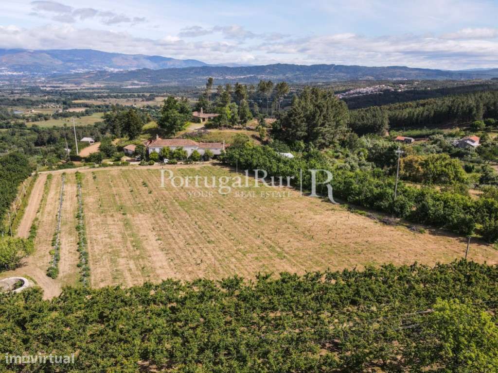Quinta de 4 ha com 3 casas e cerejeiras no Fundão, ideal para turismo-46