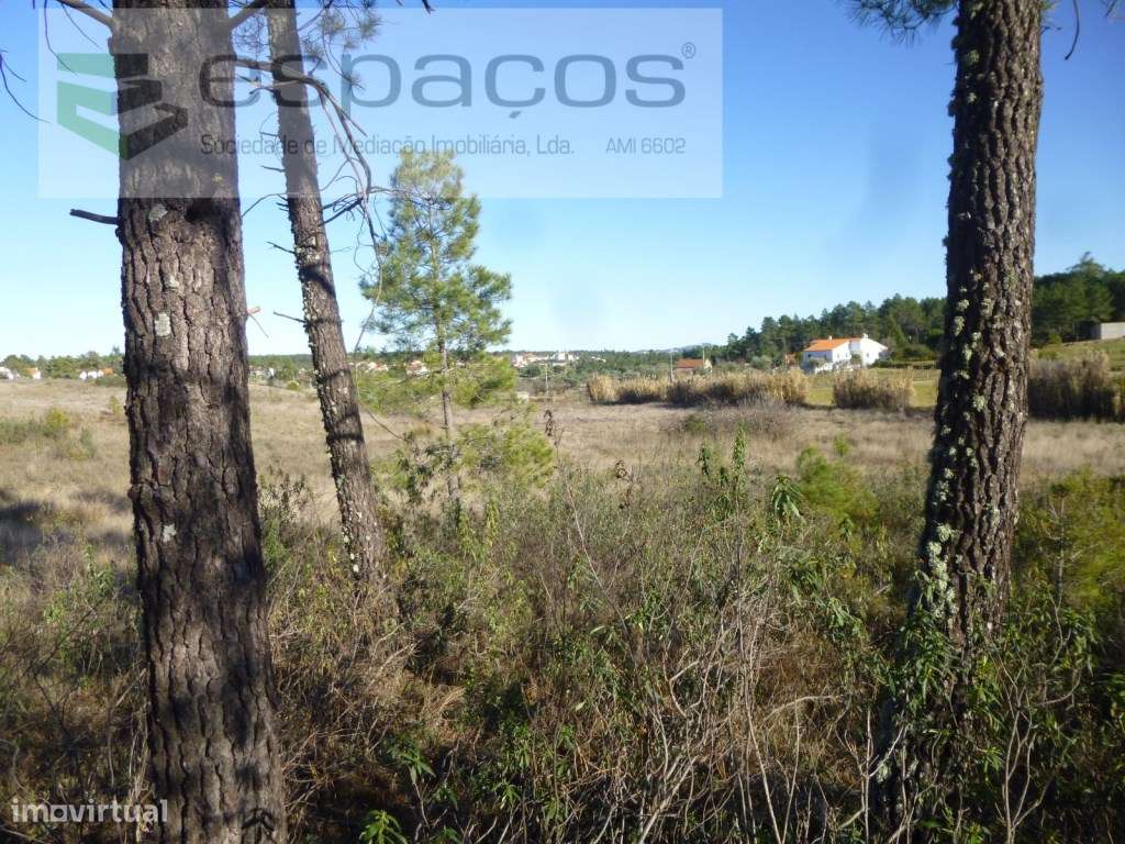 Quintinha Vale da Burra - Grande imagem: 2/5