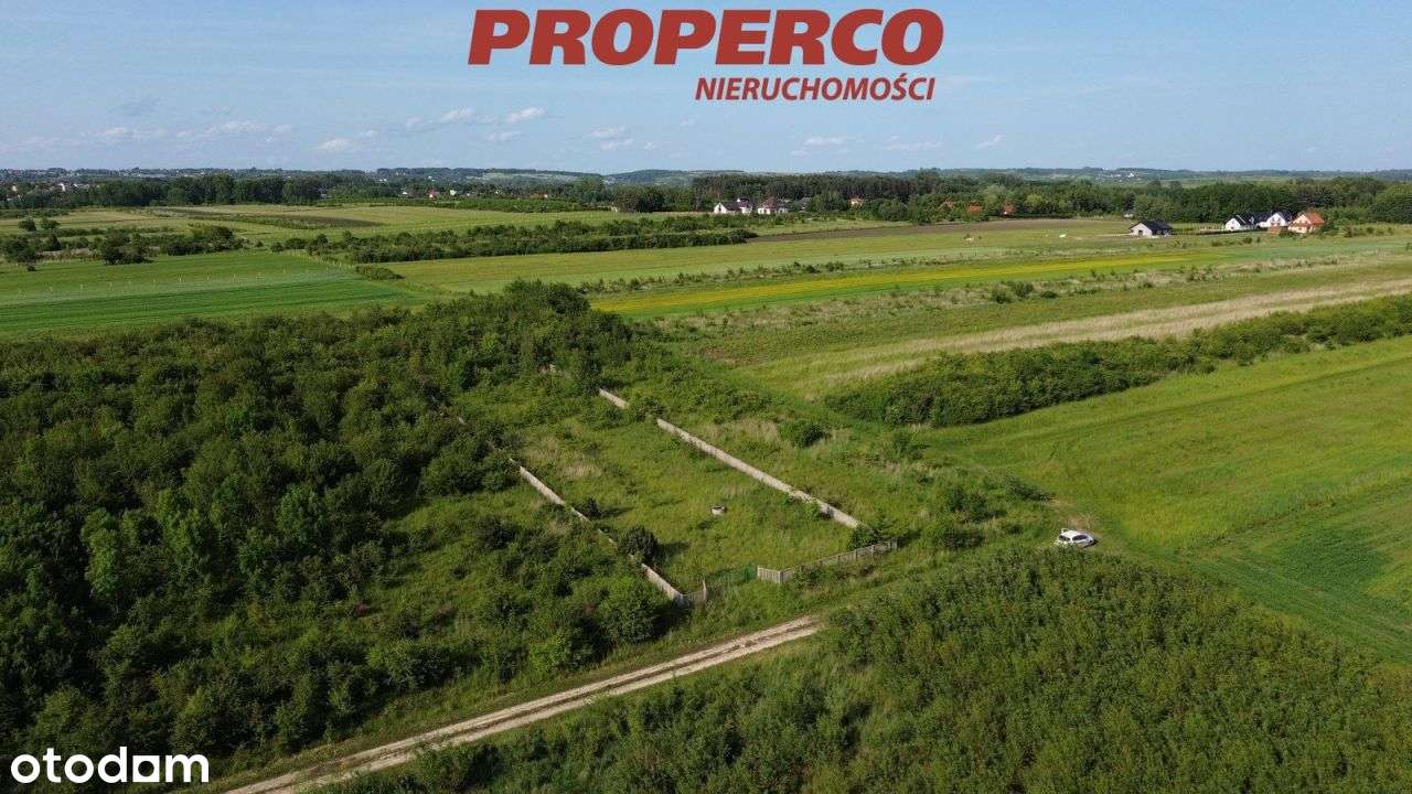 Działka 1988m2, Wolica, Busko-Zdrój - Pełny obrazek: 5/7