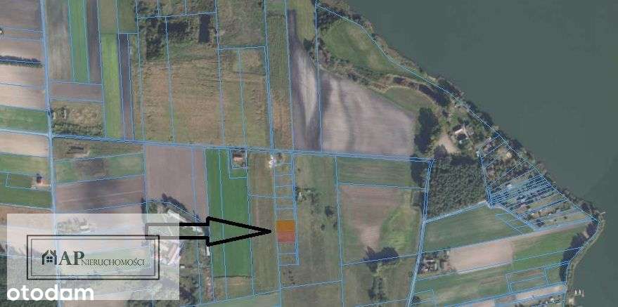 Działka Łuszczewo 300m od Gopło, 10ar - Pełny obrazek: 5/6
