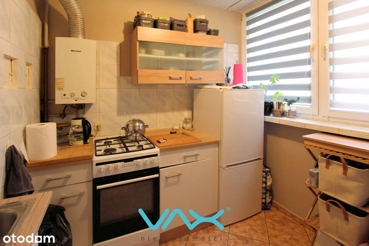 Ładne mieszkanie przy parku - Pełny obrazek: 4/12