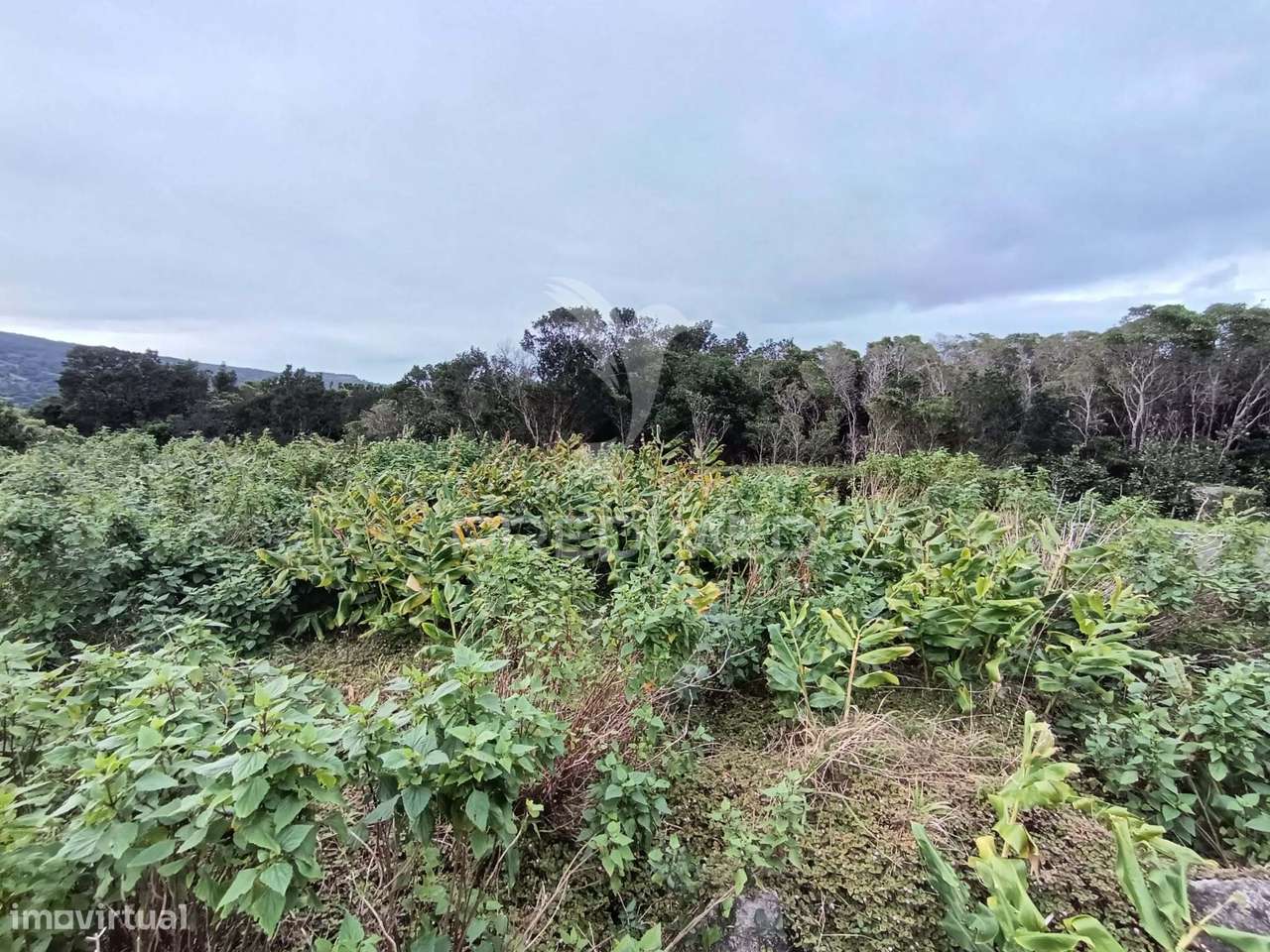 Terreno, para venda, em Santo Amaro, São Roque do Pico - Grande imagem: 4/10