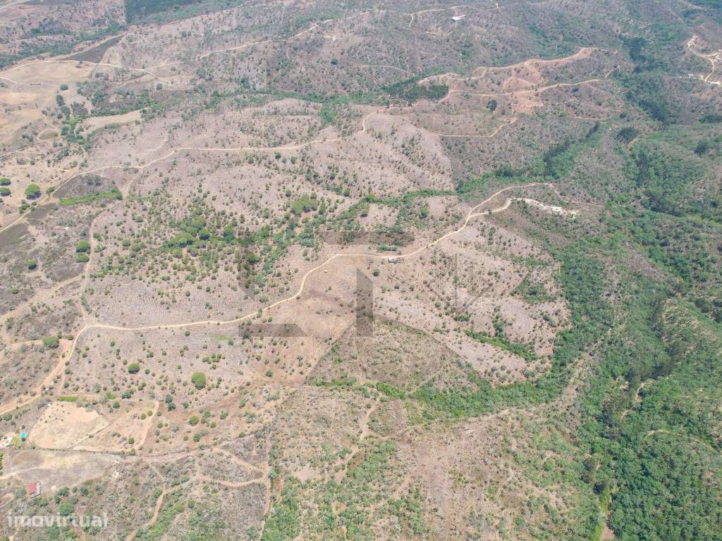 Terreno com PIP Aprovado com 55 Hectares e Ruínas para Venda em São... - Grande imagem: 4/33