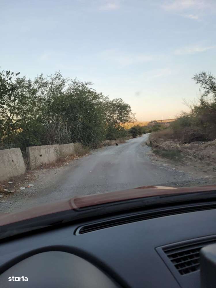 Cenavoda teren 14.000m pășune - Imagine principală: 2/20