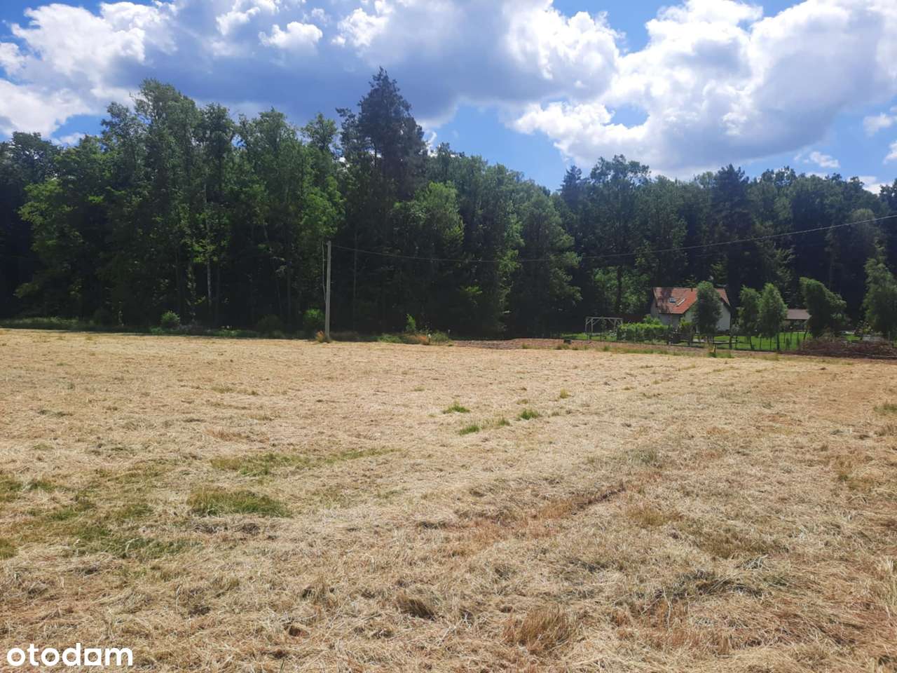 Piękna działka budowlana przy lesie - Pełny obrazek: 2/4