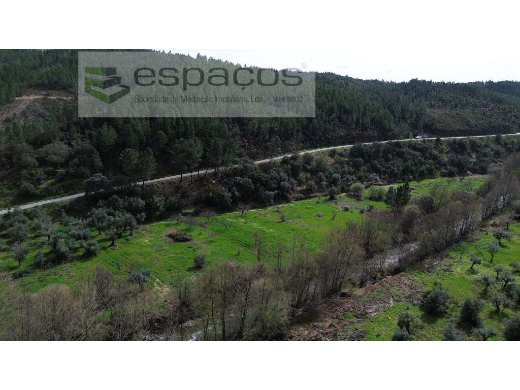 Terrenos a confinar com ribeira - Pomar-5